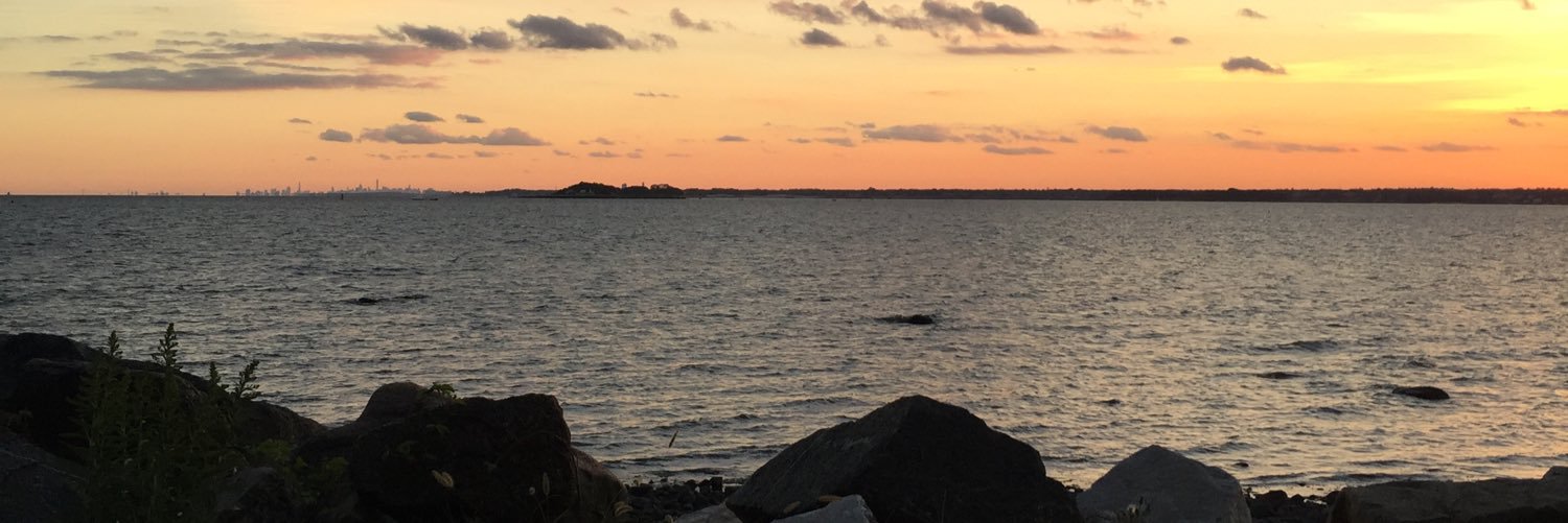 Annie Ambrogio banner