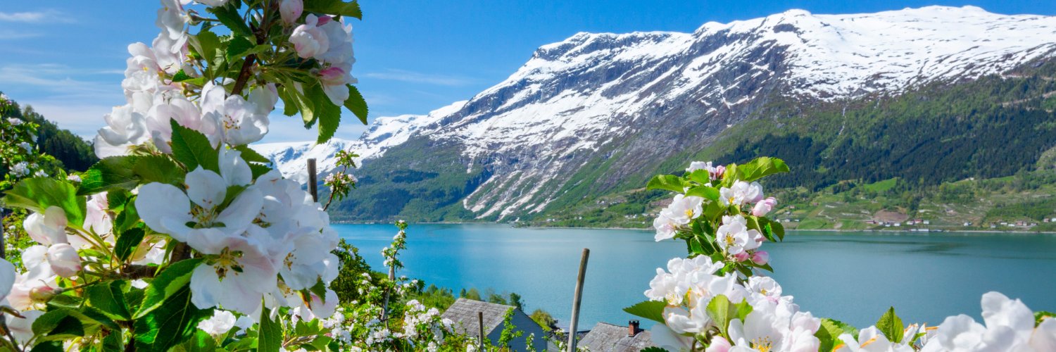 Visit Norway banner