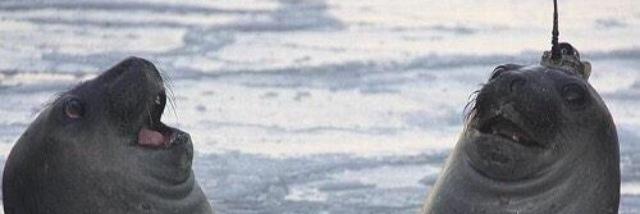 eoincurt's profile banner image