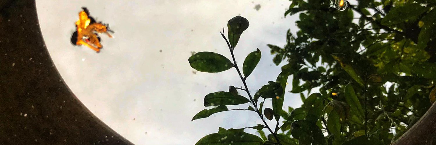 Amber_H_'s profile banner image