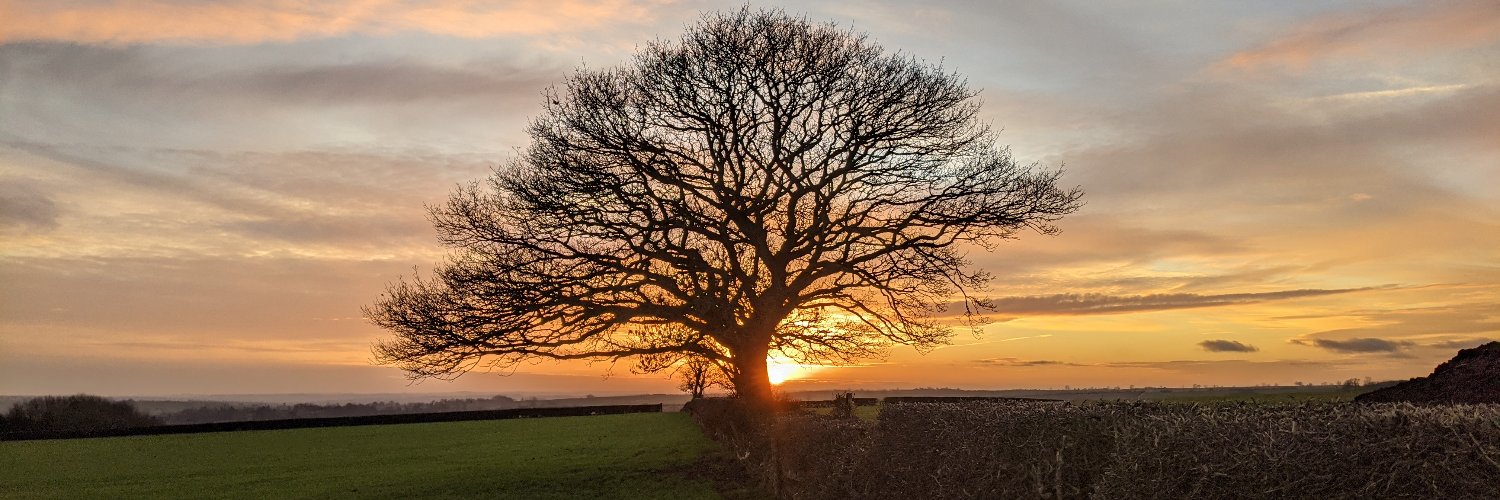 toby_greenall's profile banner image
