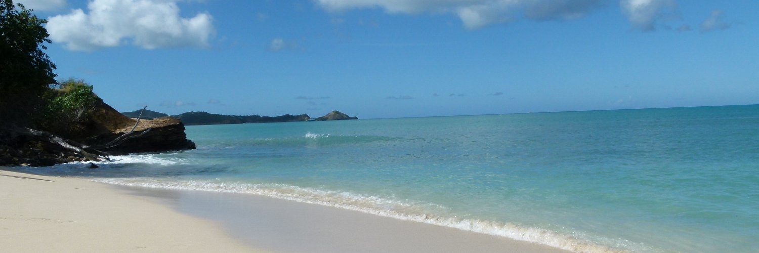 Steve Goodman banner