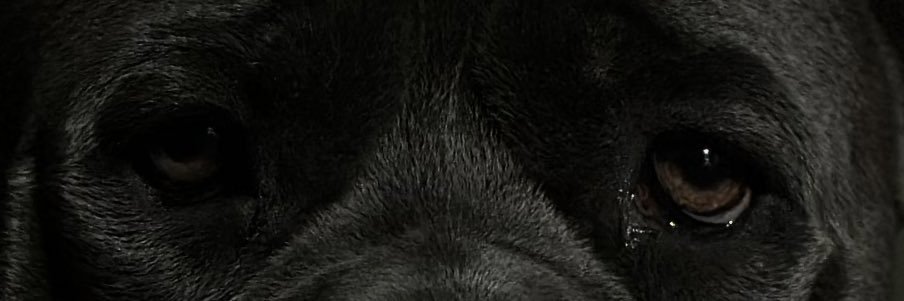 _SCRONZ's profile banner image