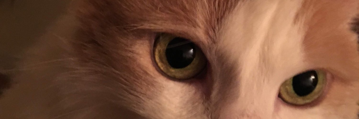 ledekle's profile banner image