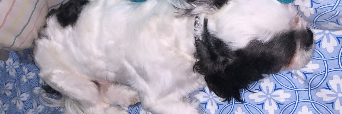 fernandapm97's profile banner image