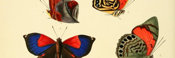 seisilabas Profile Banner