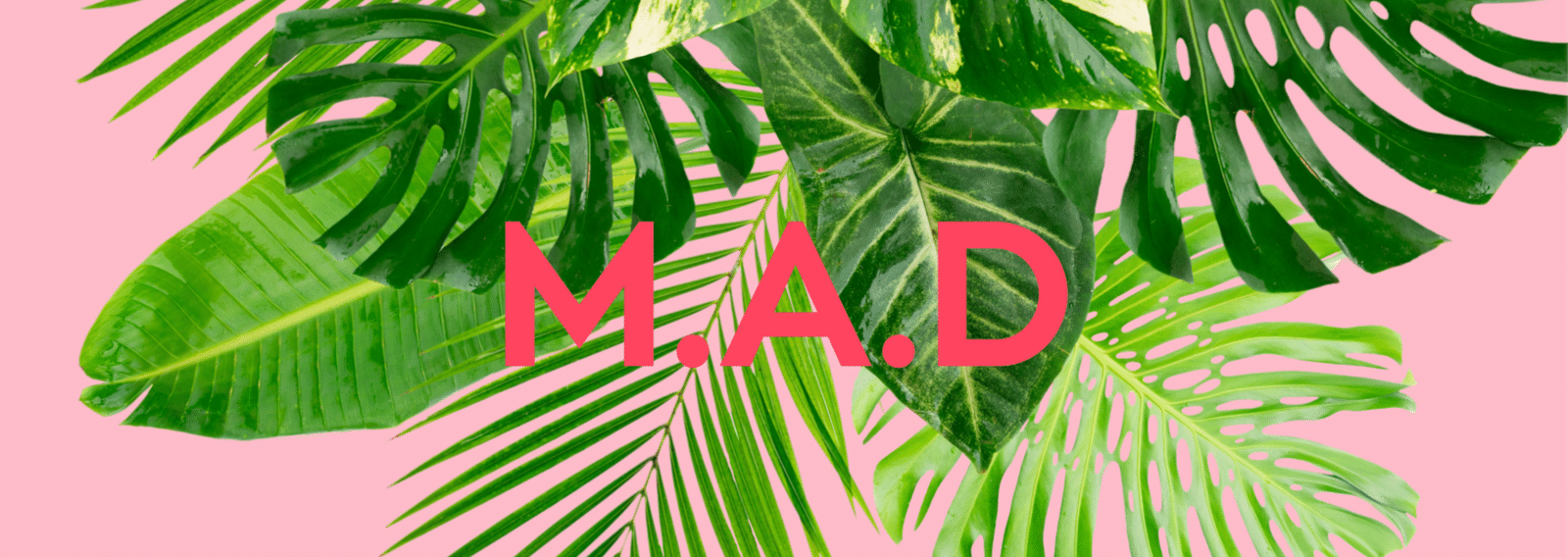 jammy3m's profile banner image