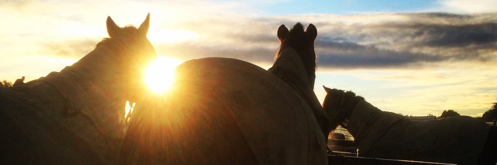 GennaGeee's profile banner image