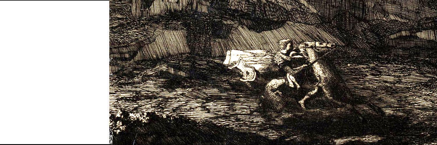 Heiner Schmidt banner