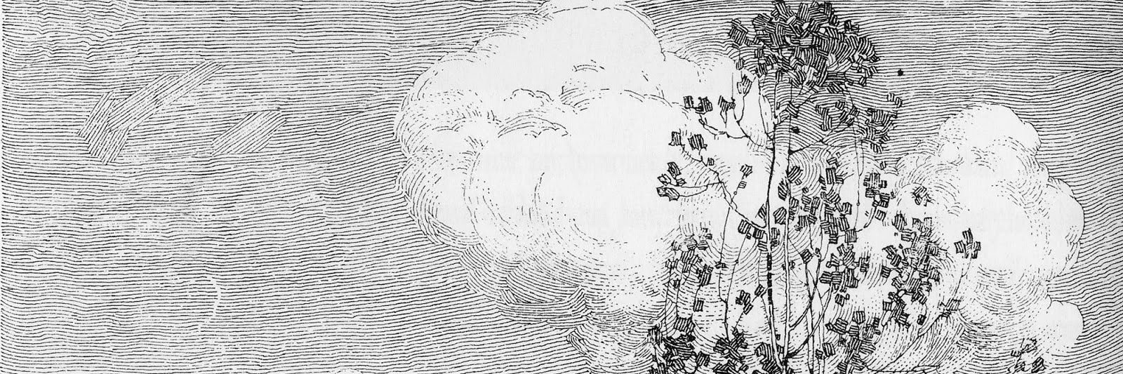 brunohstein's profile banner image