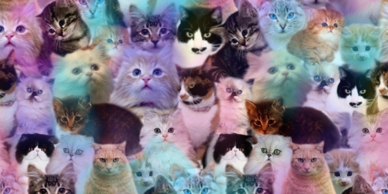 sarahendazz's profile banner image