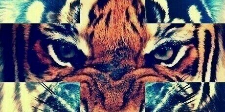 cjeezzy's profile banner image
