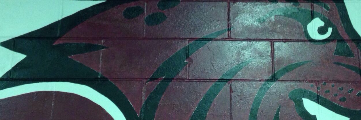 CoachNielsen8's profile banner image