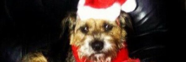 rycbar32_ Profile Banner