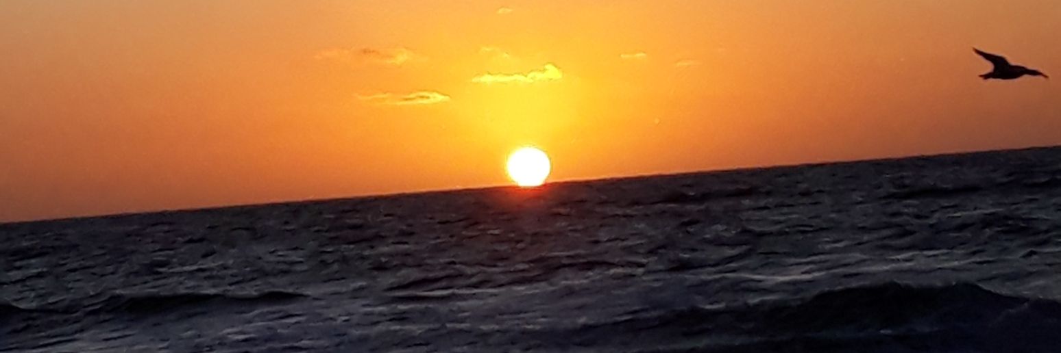 EriiJimenez's profile banner image