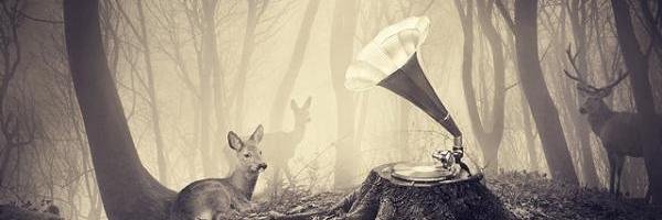 JulieMac11's profile banner image