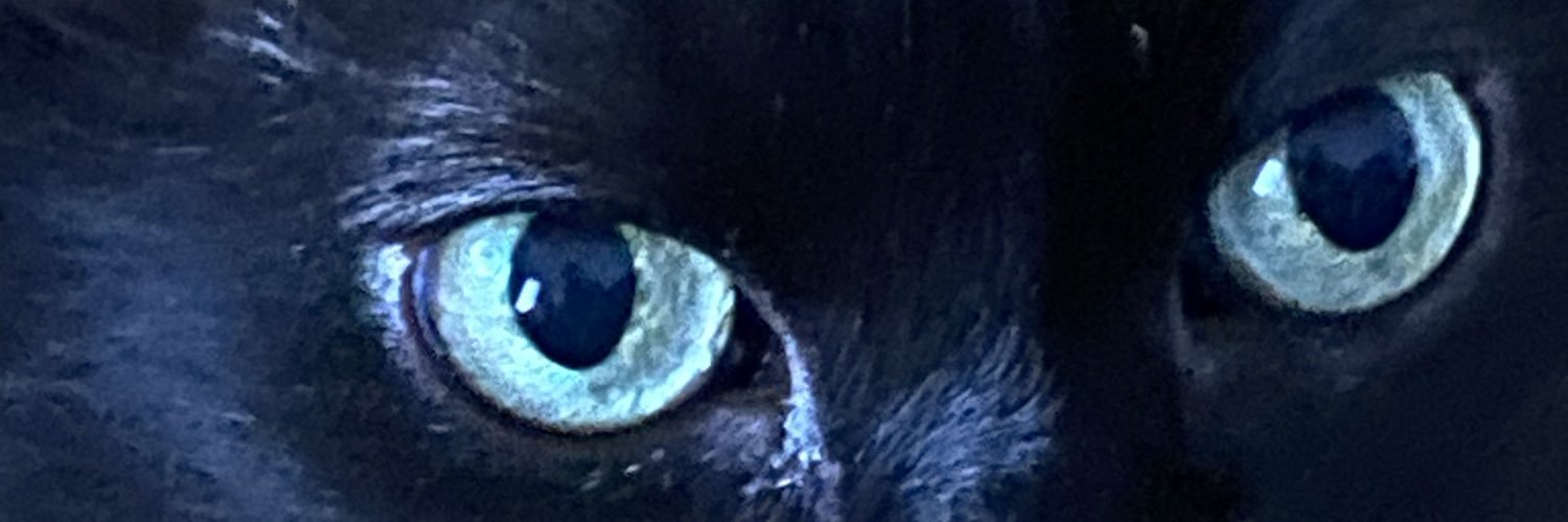 Lucie banner