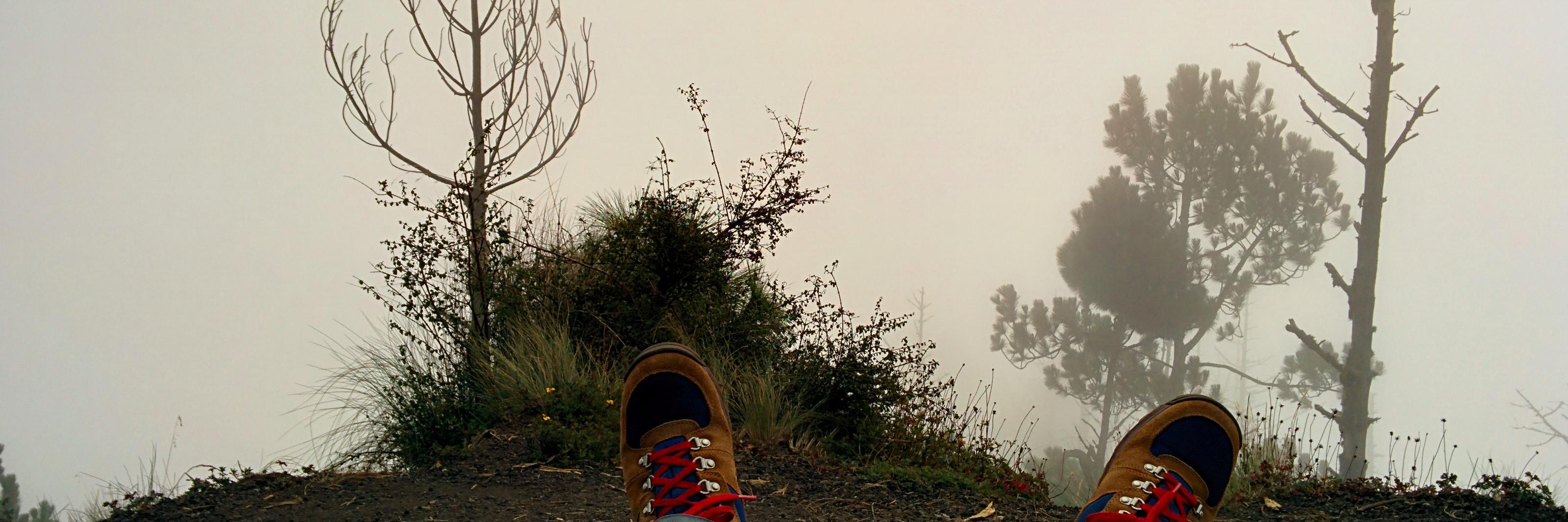 BudsMaterial's profile banner image