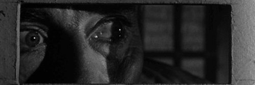 MovieNut14's profile banner image