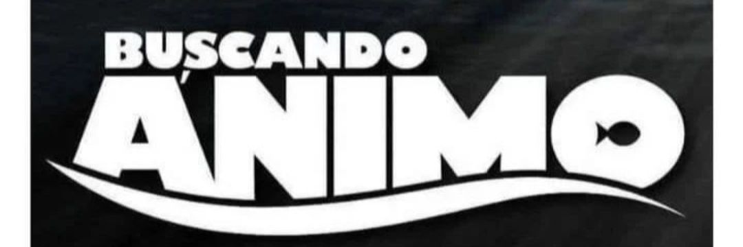 ssangentle's profile banner image