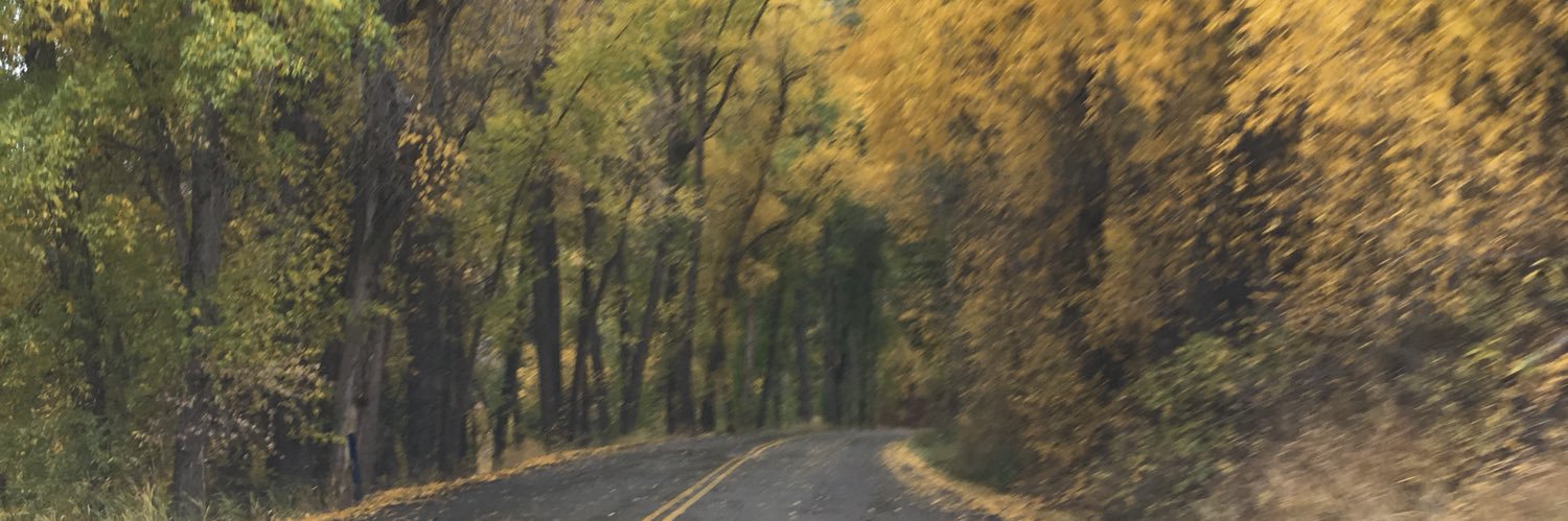 rfckun's profile banner image