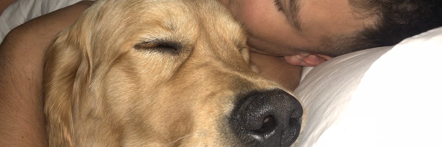elbxox's profile banner image