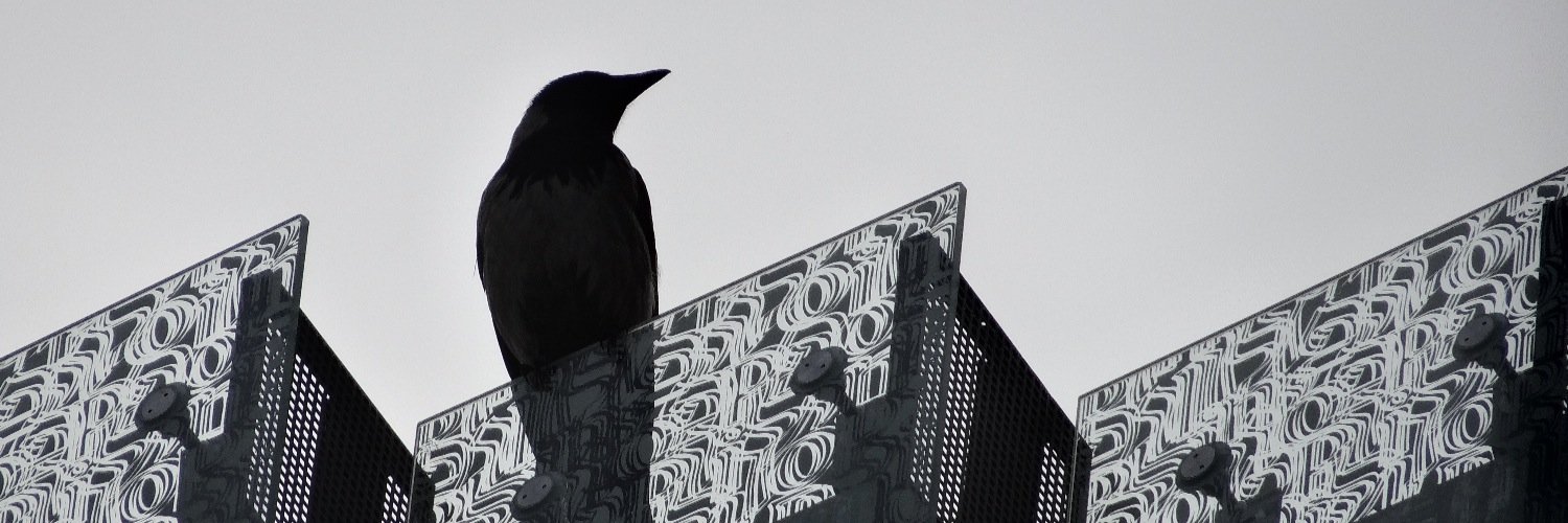 jodselow's profile banner image