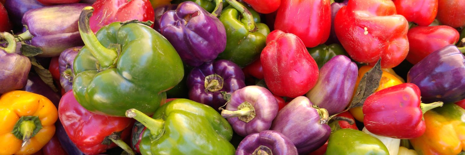 NutritiousFeast's profile banner image