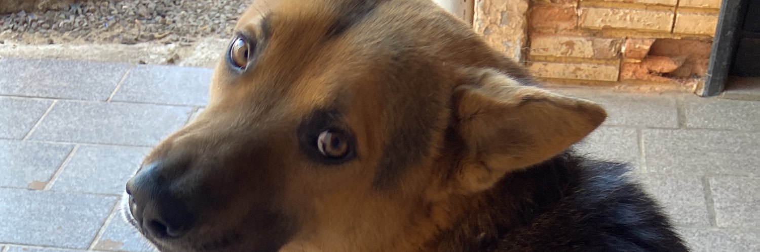 gabrielat__'s profile banner image