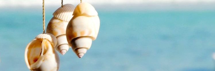 EstefyZam's profile banner image