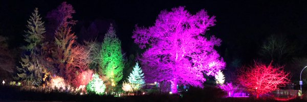 SteGrice1 Profile Banner