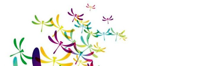 flax8's profile banner image