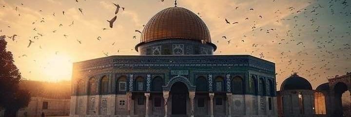 عَابرة سَبيل banner