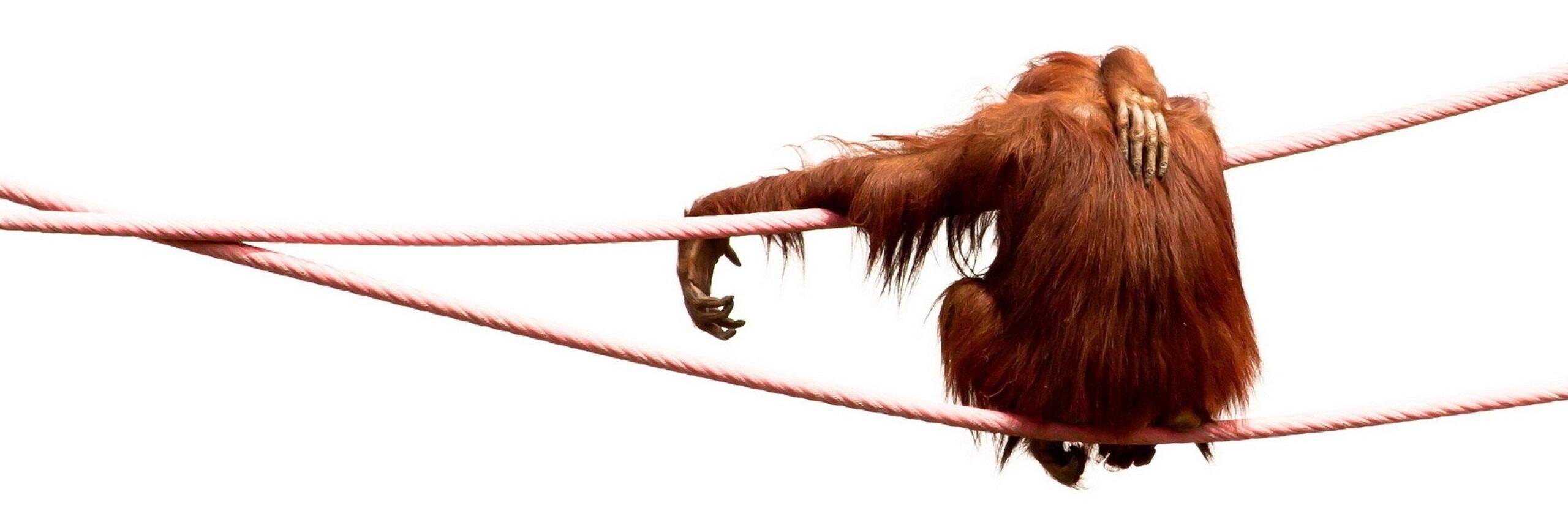DickProblems's profile banner image