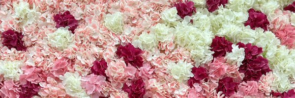 CollinSunga Profile Banner