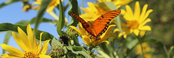 mytrinityriver Profile Banner