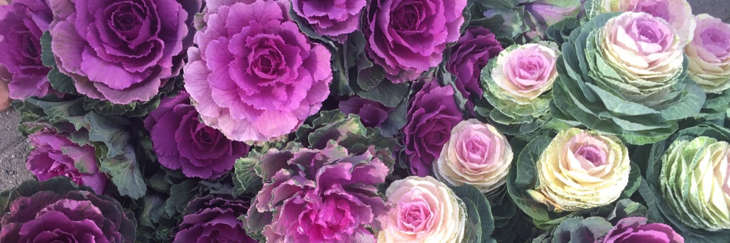 MorgannnRene's profile banner image