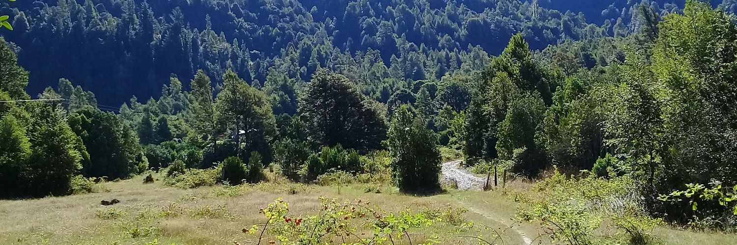 danitudela's profile banner image