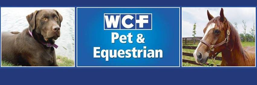 Waggers4Dogs's profile banner image