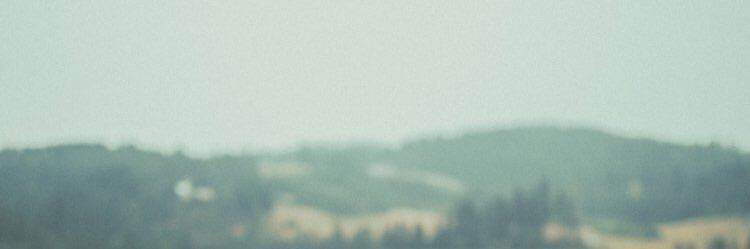 dazzzehead's profile banner image