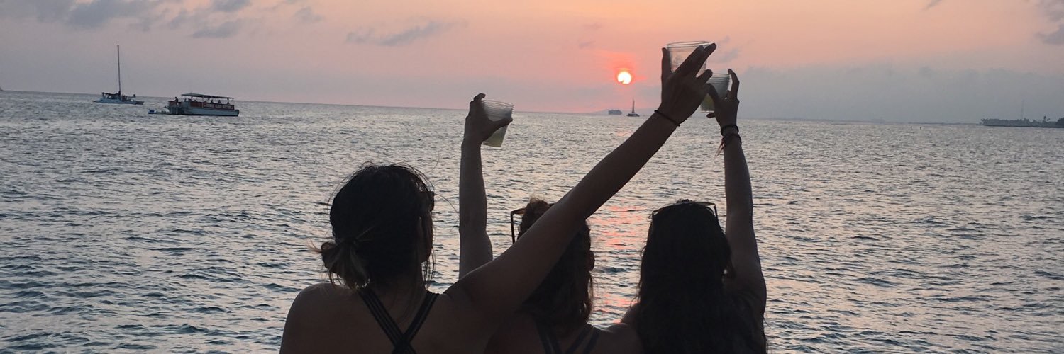 celestiaal_'s profile banner image