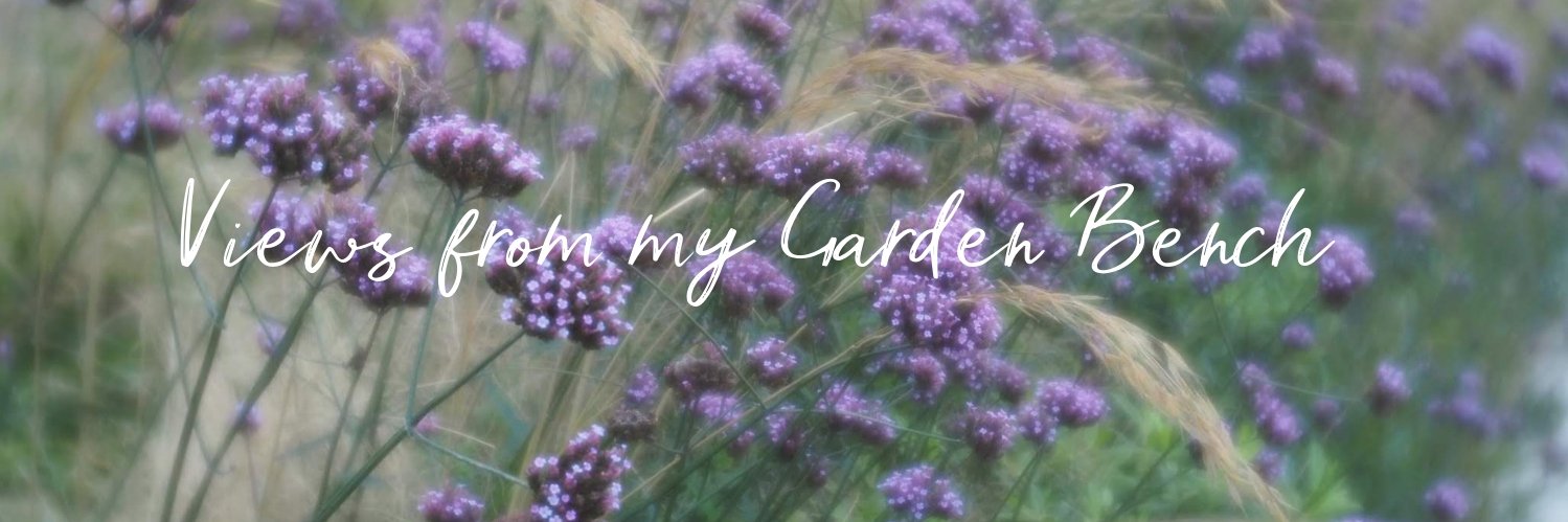 bec-views from my garden bench banner