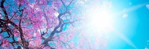 ImHeathaD's profile banner image