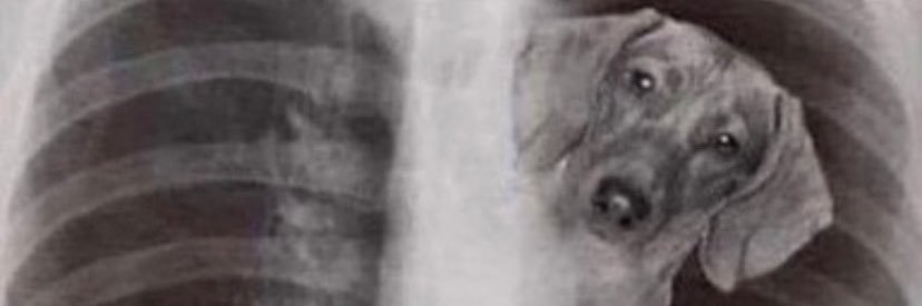 CheckTheGym's profile banner image