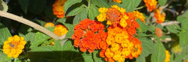 Kate7Barker Profile Banner