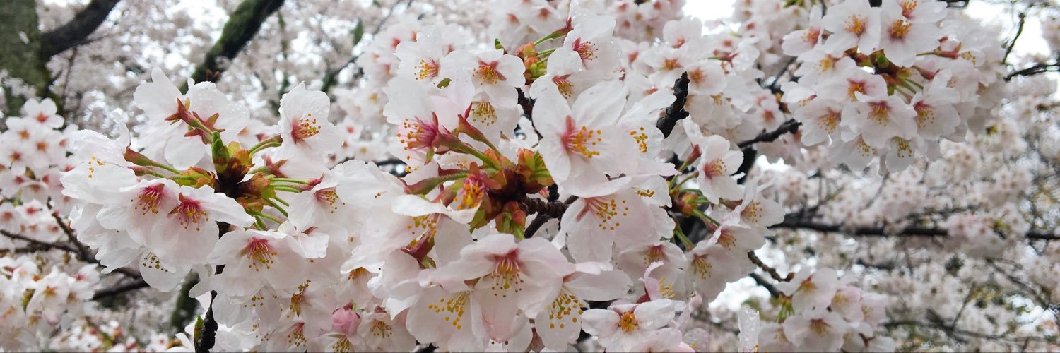 D_Ars852's profile banner image