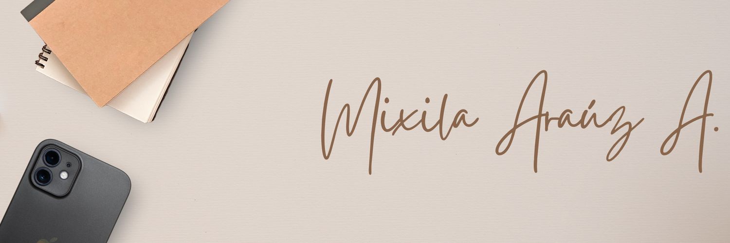 MIXILA ARAUZ A. banner