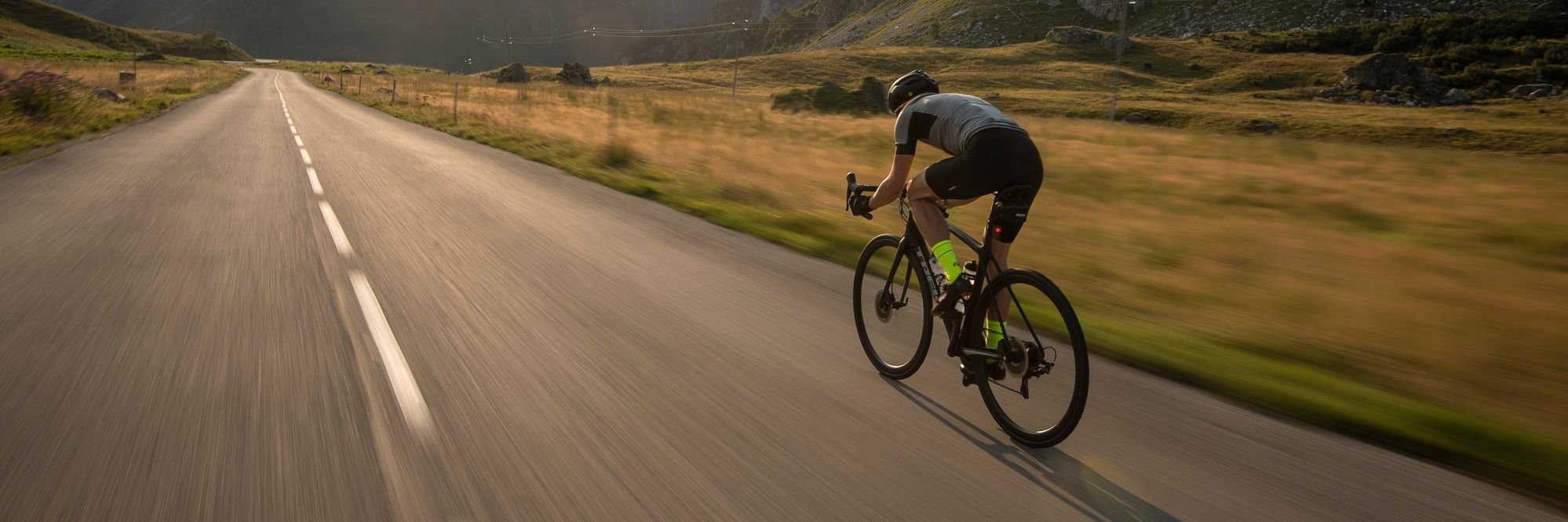 Alpine Bikes banner