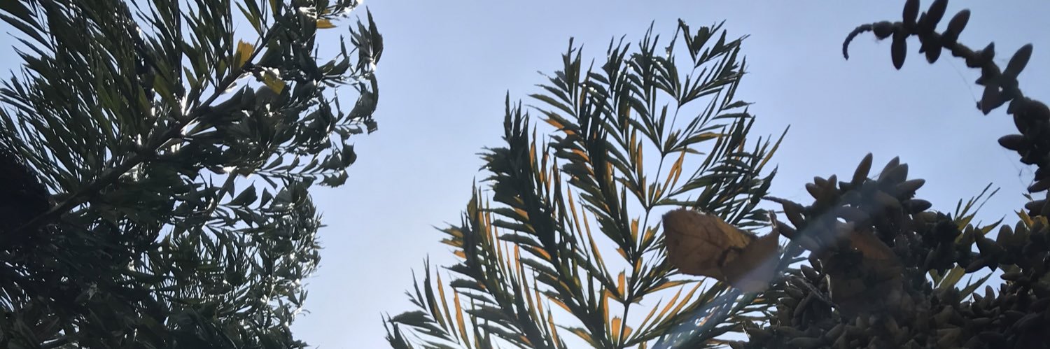 MontillaDavid's profile banner image
