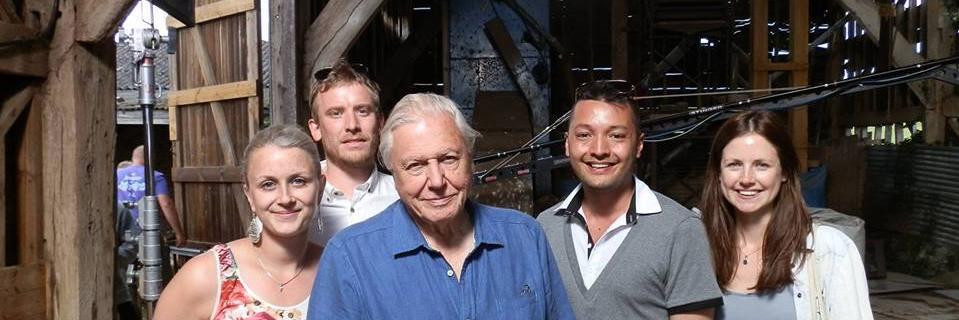 Beau~Jensen McCubbin banner